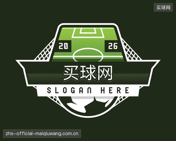 关于买球网公司